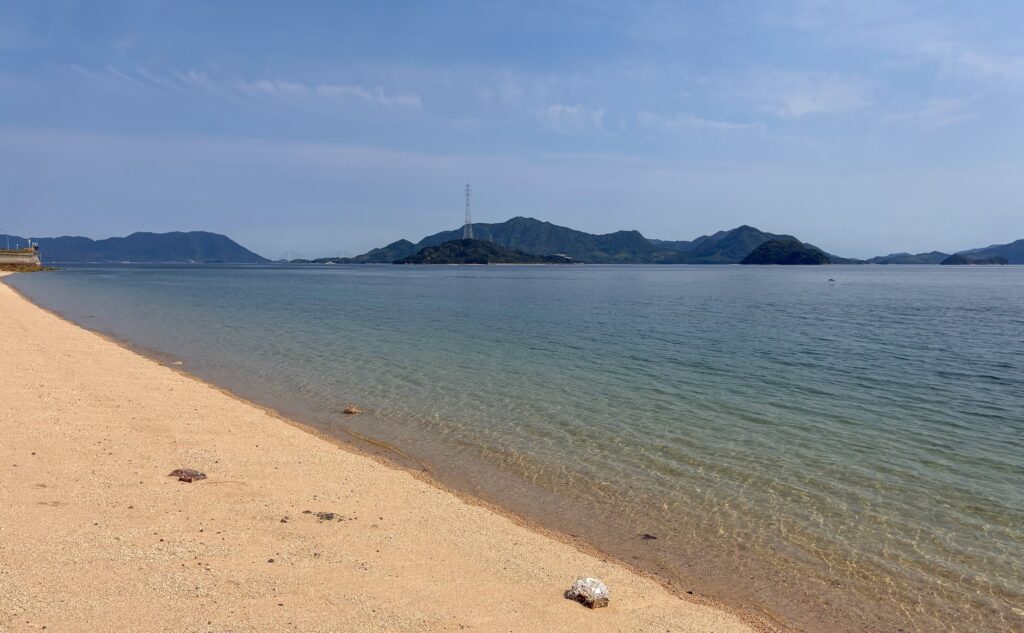 長浜自然海浜保存地区 海岸